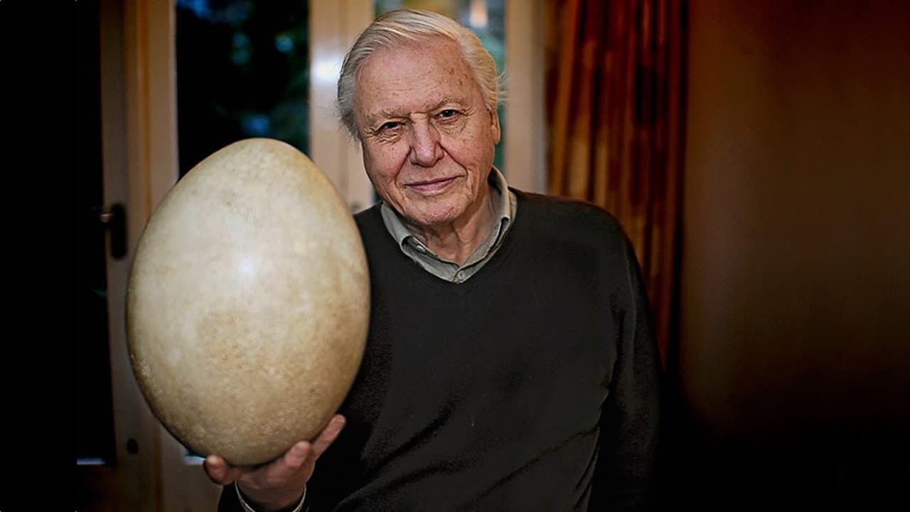 Backdrop – Attenborough and the Giant Egg