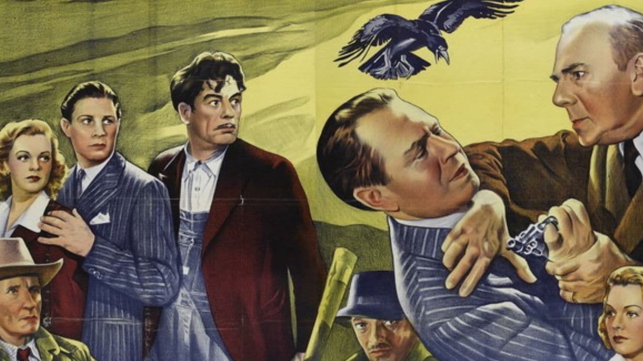 Backdrop – The Black Raven