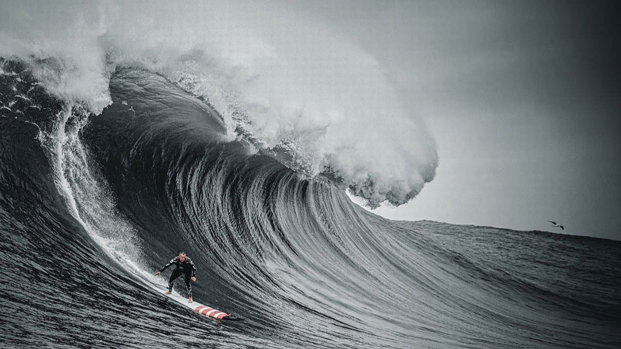 Backdrop – The Secret Life of Waves