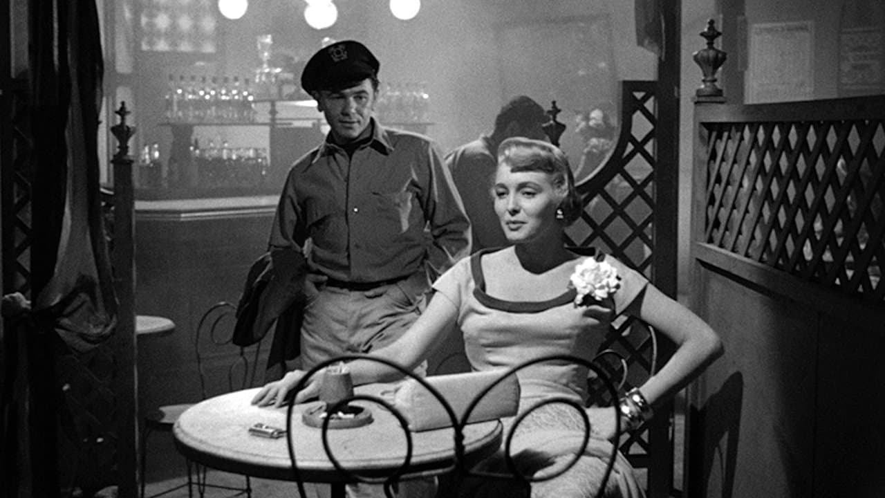 Backdrop – Menschenschmuggel