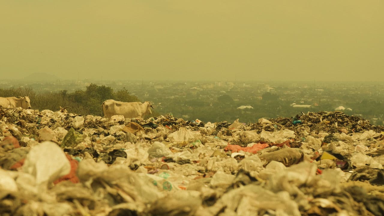 Backdrop – Kiamat Sampah