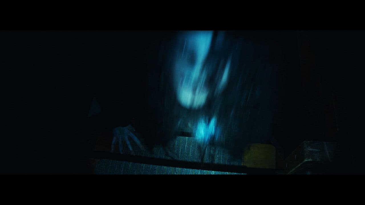 Backdrop – Sight Unseen