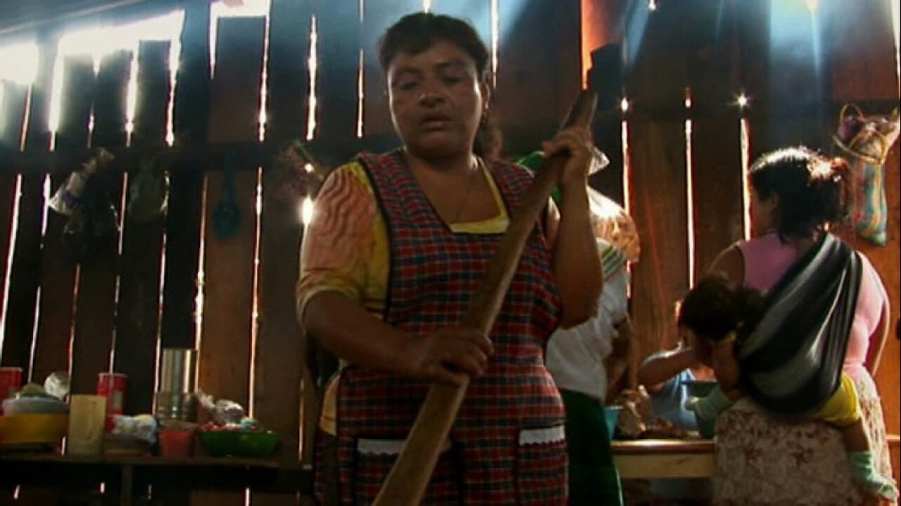 Backdrop – Después del Zapatismo