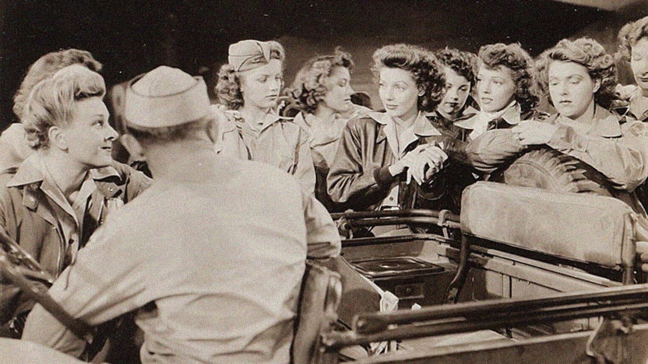 Backdrop – Ladies Courageous