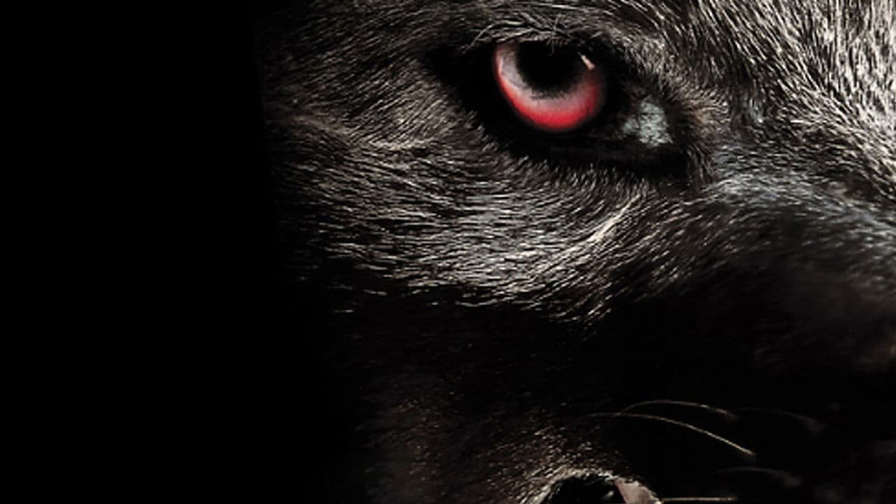 Backdrop – Monster Wolf