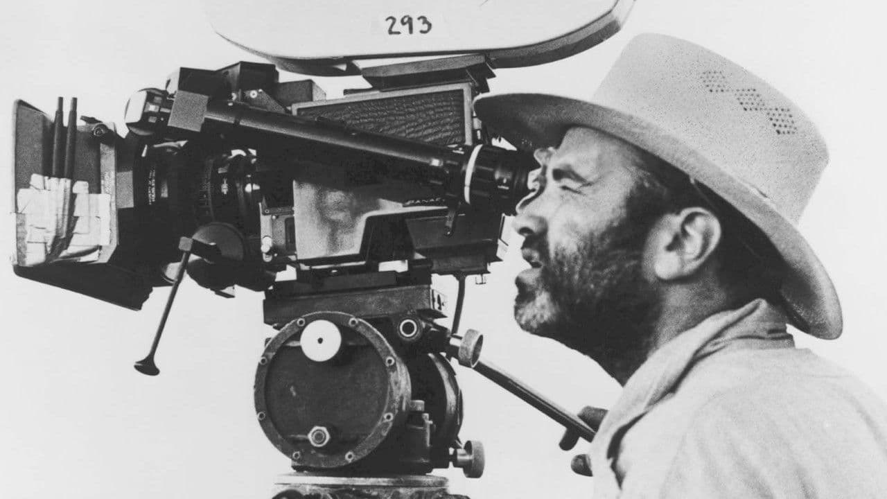 Backdrop – Terrence Malick - Suche nach dem Unsichtbaren