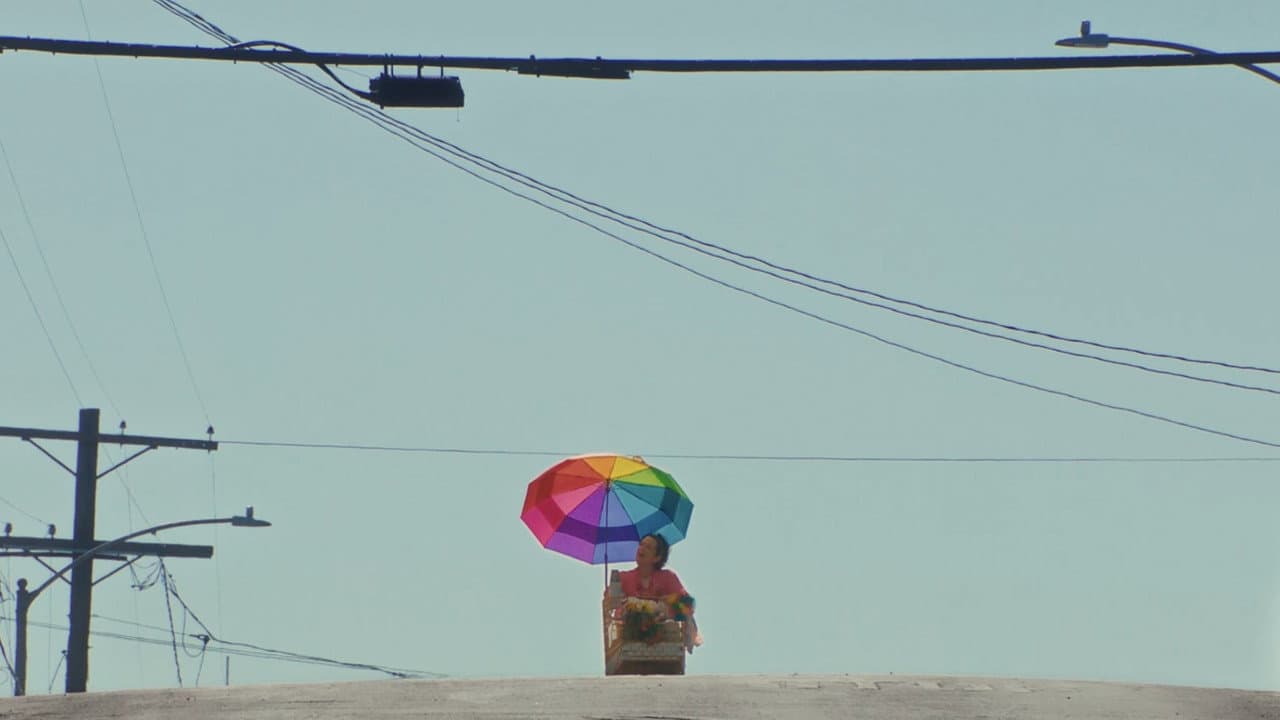 Backdrop – The Moth & The Fly