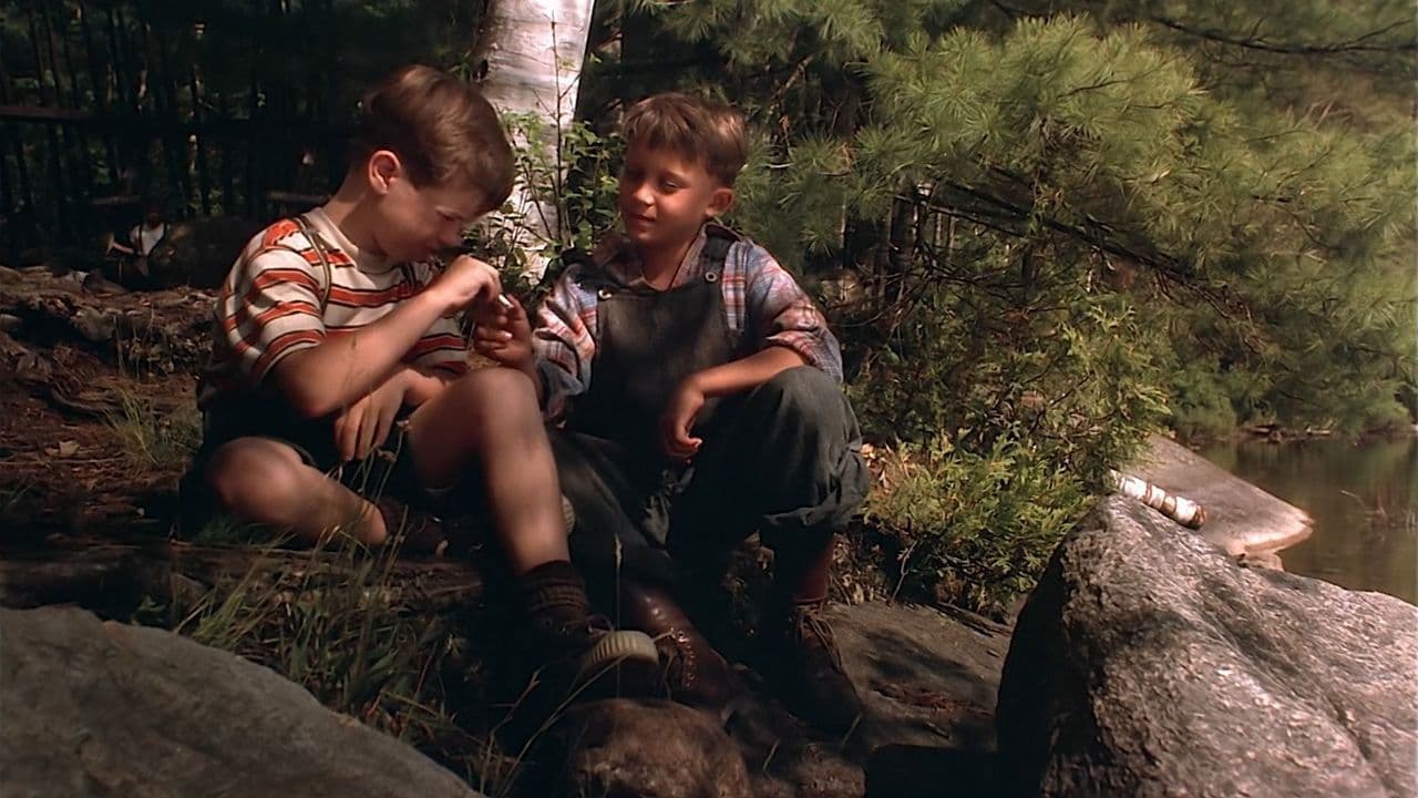 Backdrop – Looking for Miracles