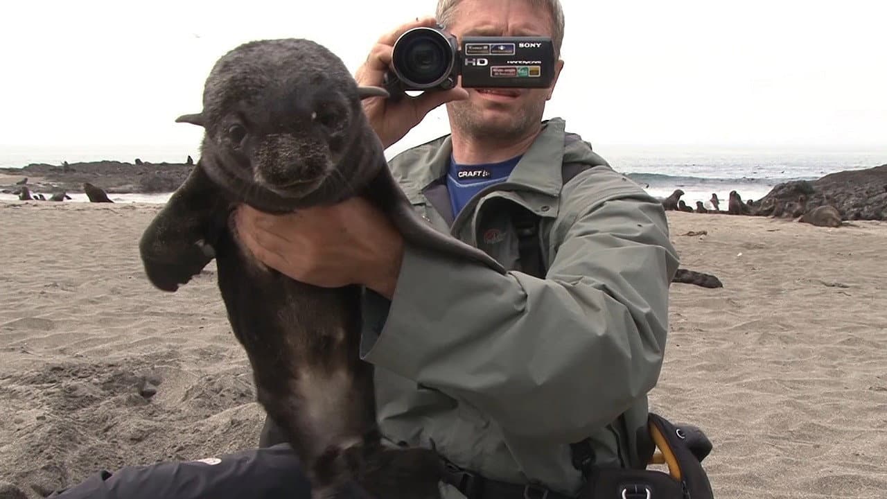 Backdrop – Камчатка – лекарство от ненависти