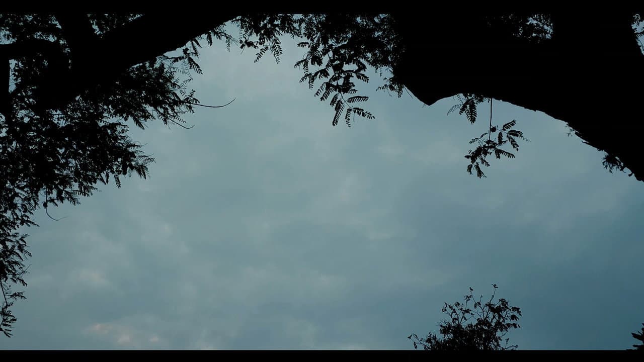 Backdrop – Além do Tempo