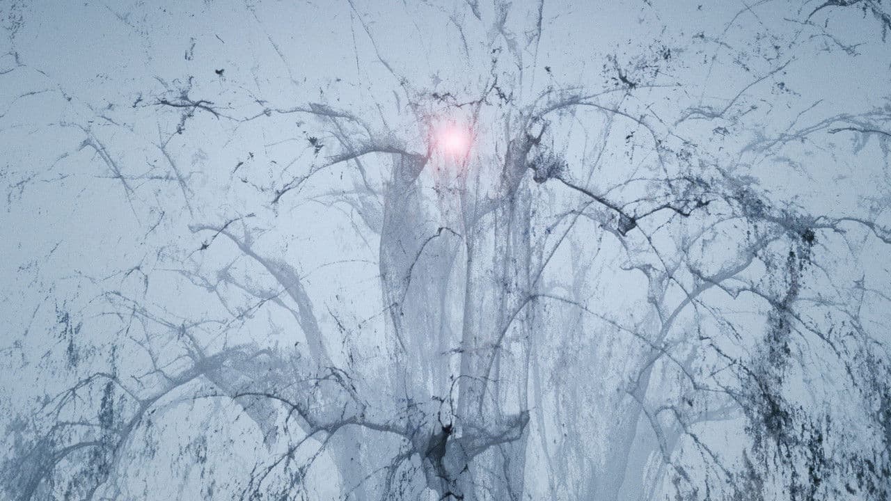 Backdrop – Yollotl