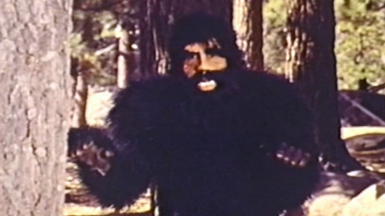 Backdrop – The Beauties and the Beast