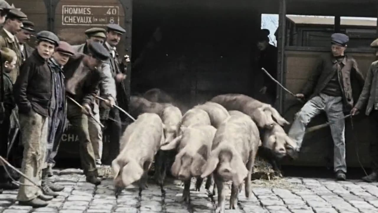 Backdrop – Nous paysans