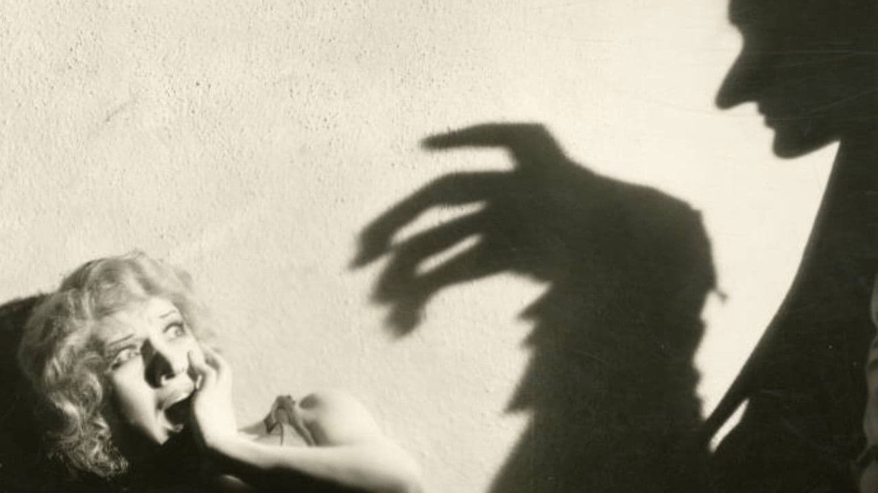 Backdrop – Midnight Mystery