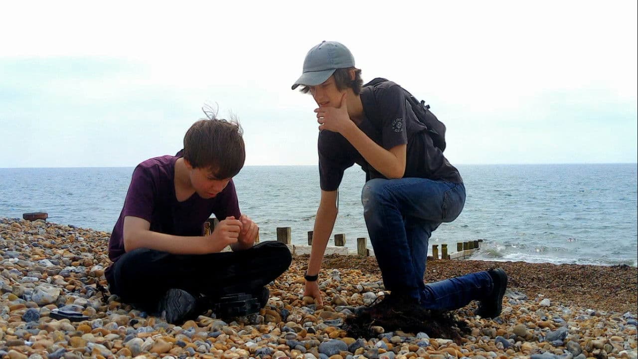 Backdrop – Enemy at the Beach