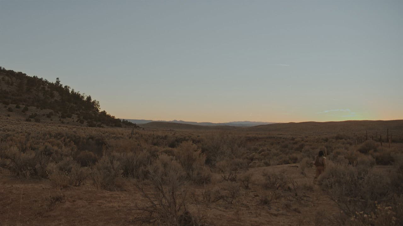 Backdrop – Blue Dusk