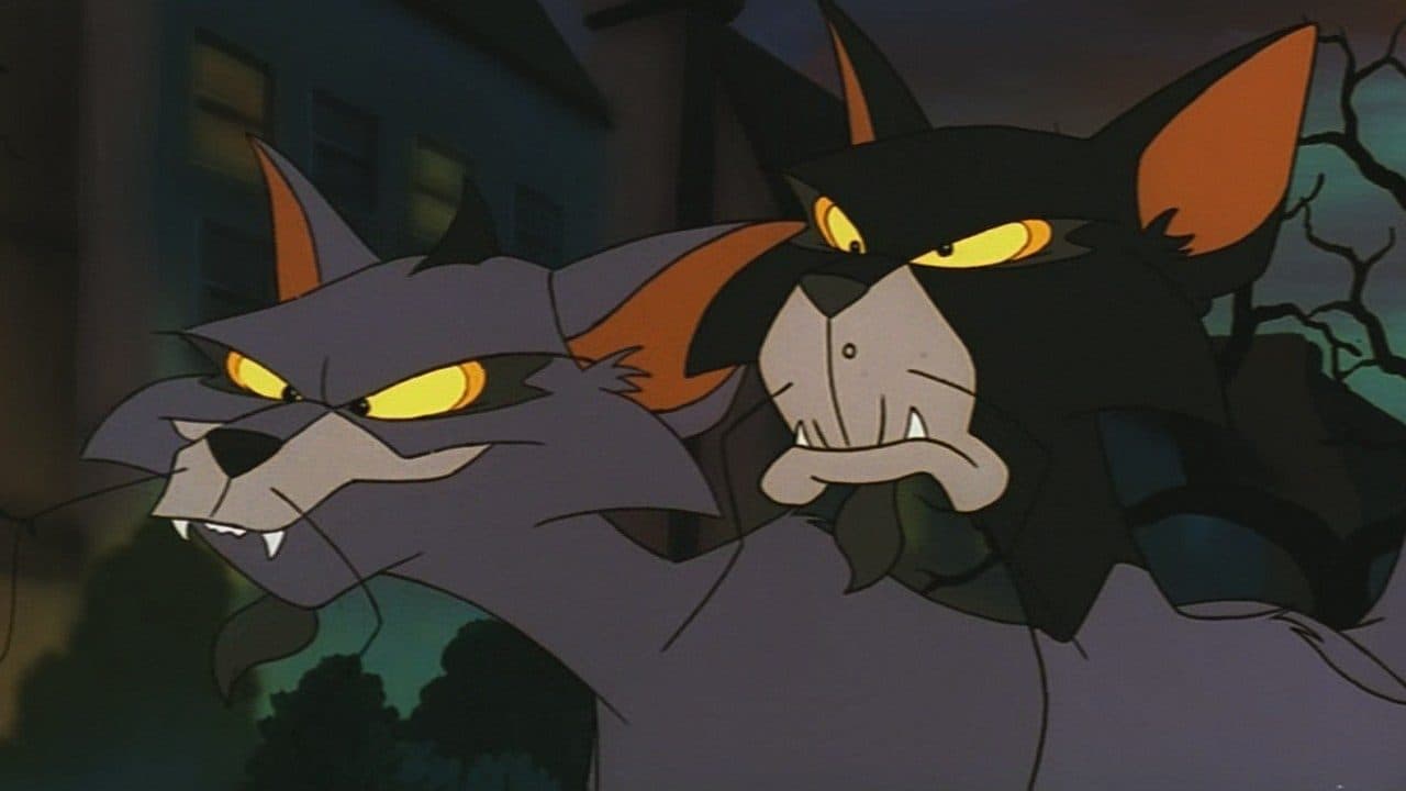 Backdrop – Felidae