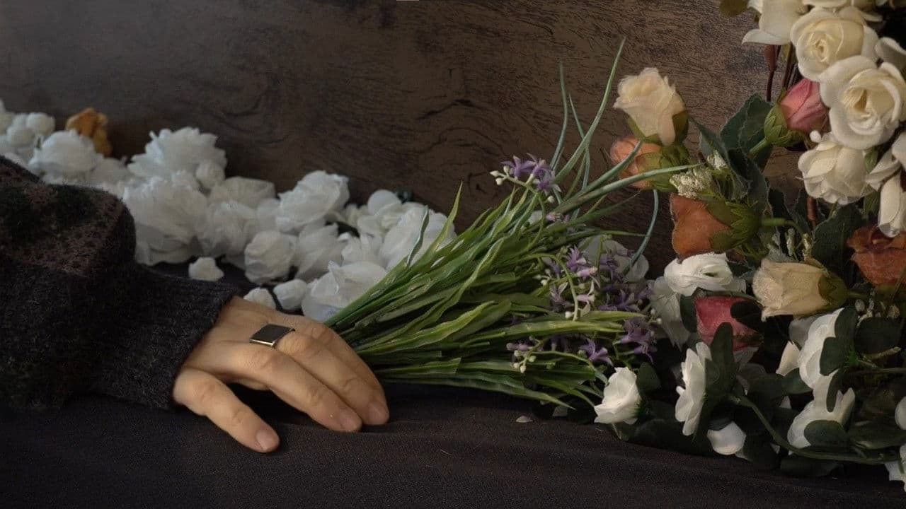 Backdrop – Meus Sentimentos