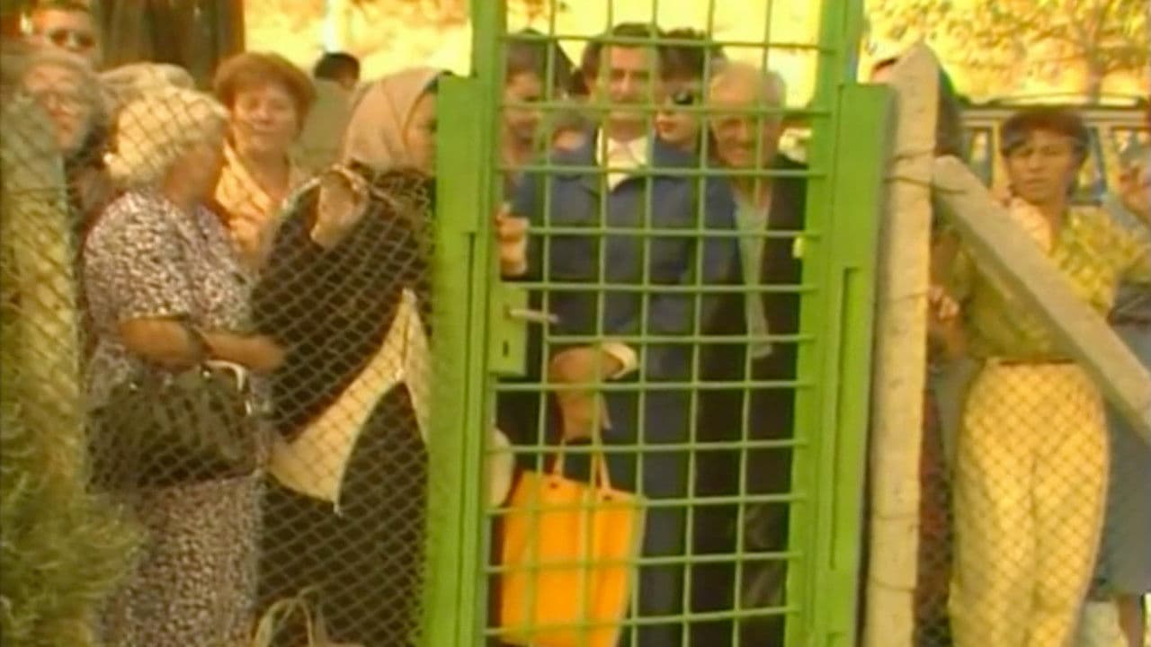 Backdrop – Тъй рече Ванга