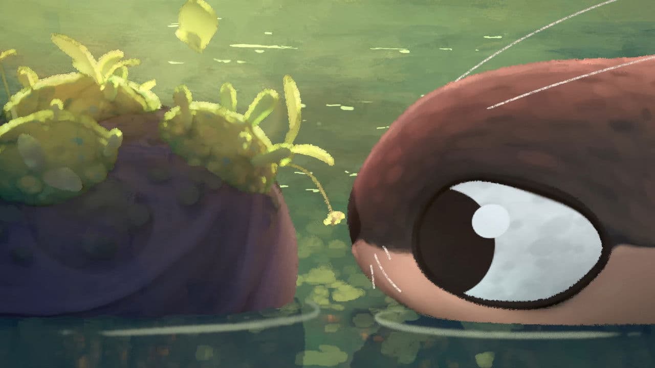 Backdrop – Je suis un Caillou