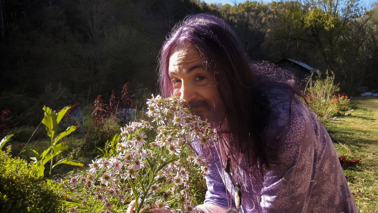 Backdrop – Queer Gardening