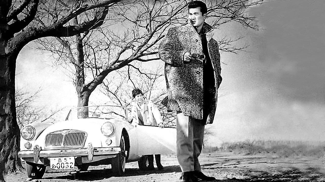 Backdrop – 夜の勲章