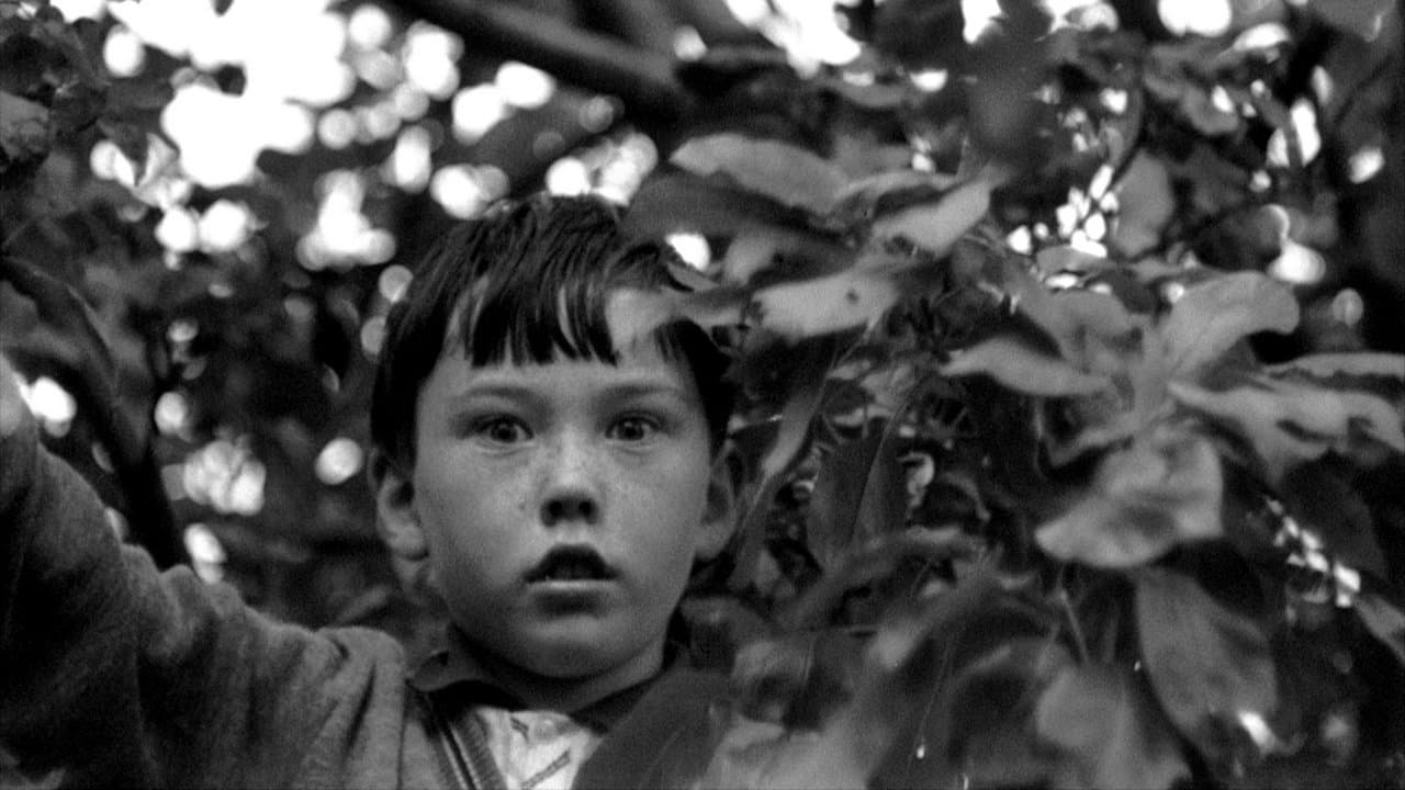 Backdrop – Arcadia