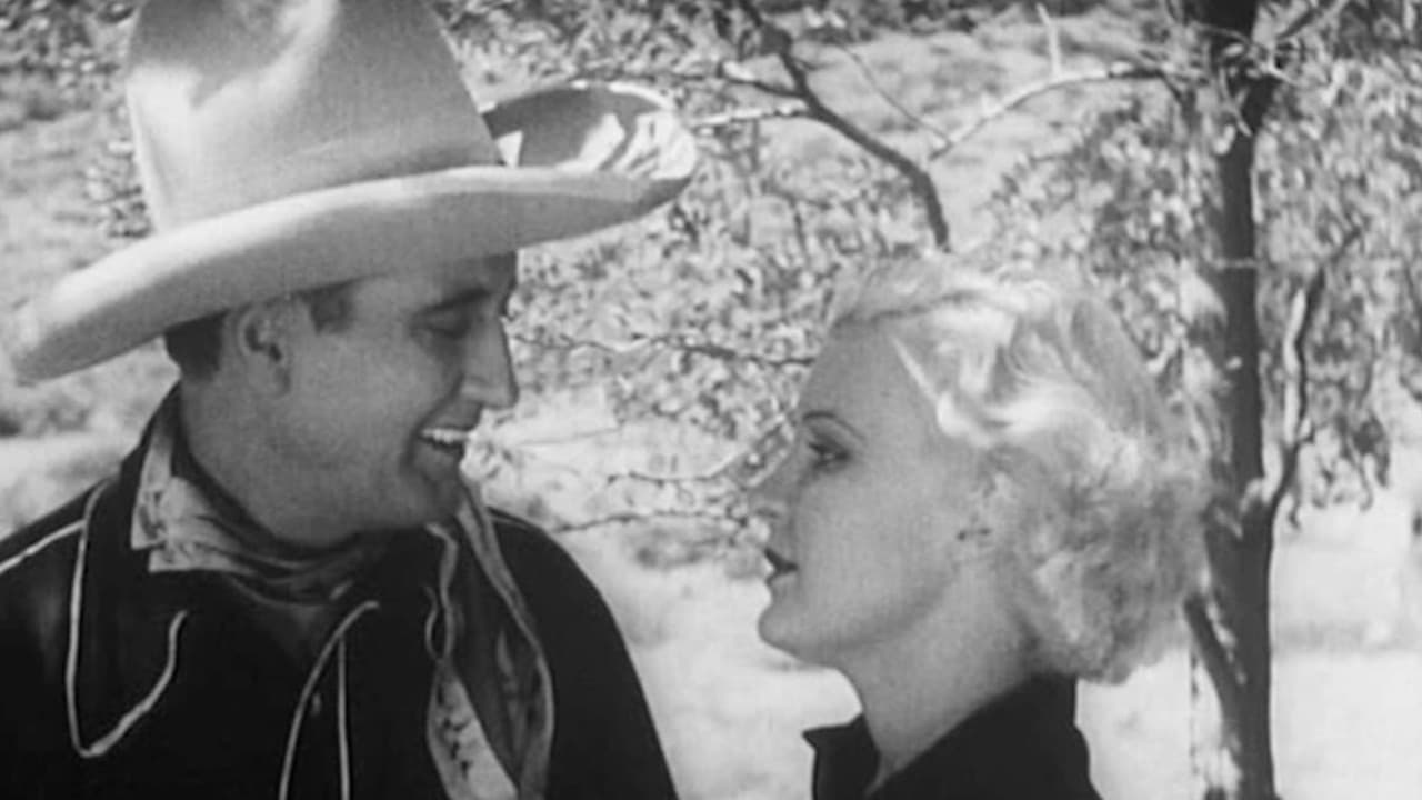 Backdrop – Desert Mesa