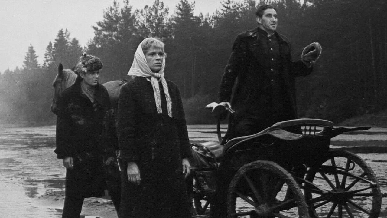 Backdrop – Laiptai į dangų