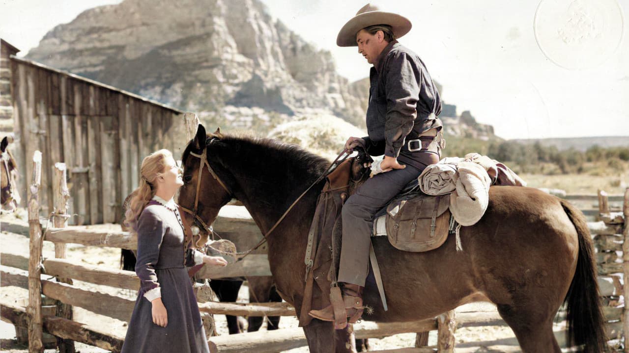 Backdrop – Nacht in der Prärie