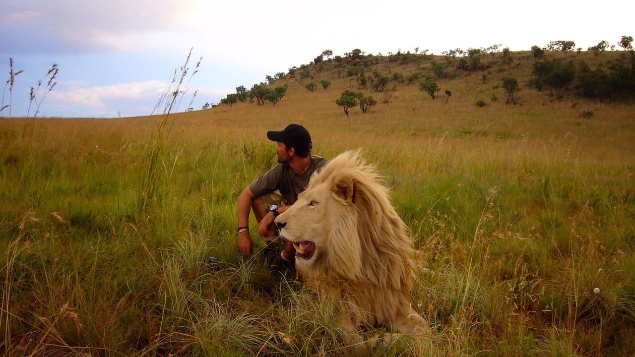 Backdrop – African Safari 3D