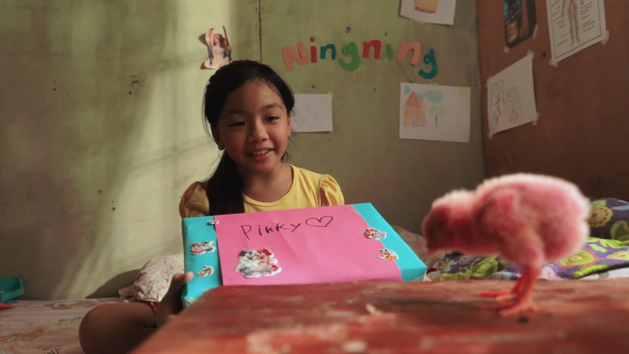 Backdrop – Ang Pink na Sisiw ni Ningning