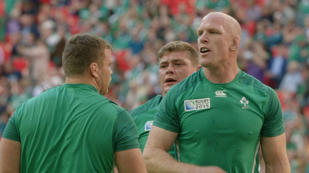 Backdrop – XV Beyond the Tryline