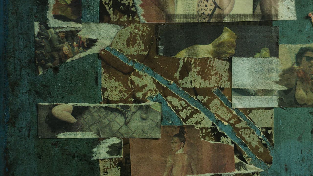 Backdrop – Maquinal