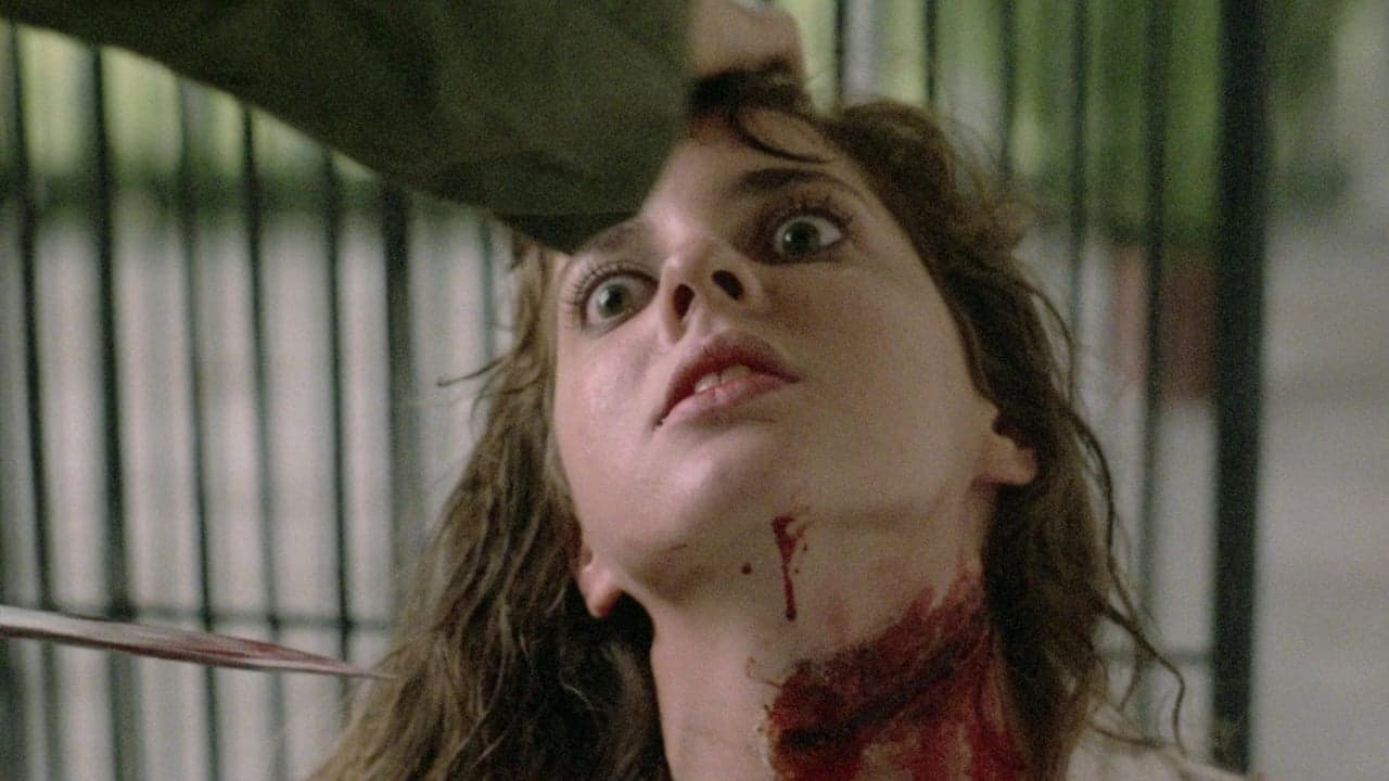 Backdrop – Killing Birds