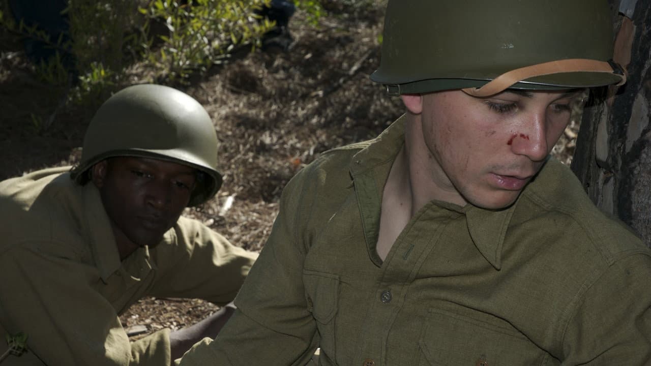 Backdrop – Au Soldat Inconnu, le débarquement de Provence