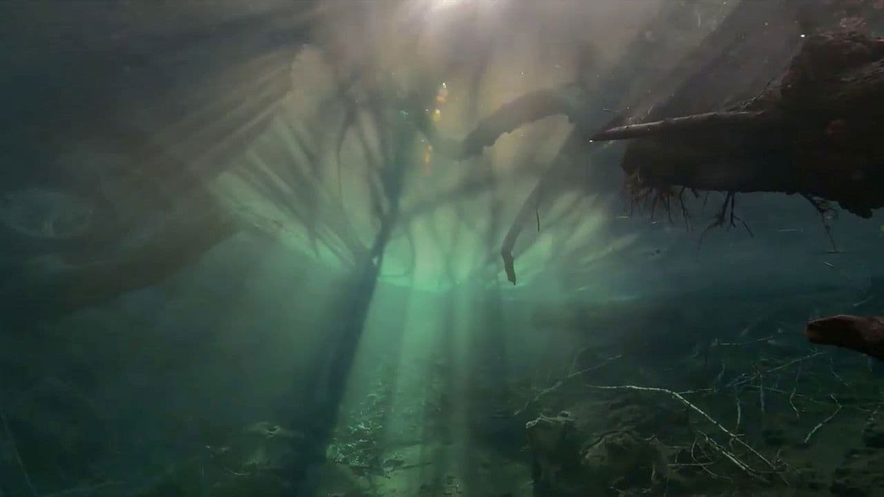 Backdrop – Der unsichtbare Fluss