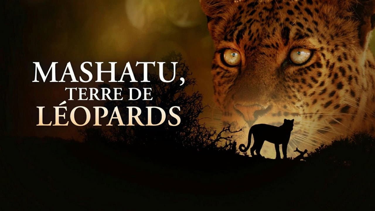 Backdrop – Mashatu: Land der Leoparden