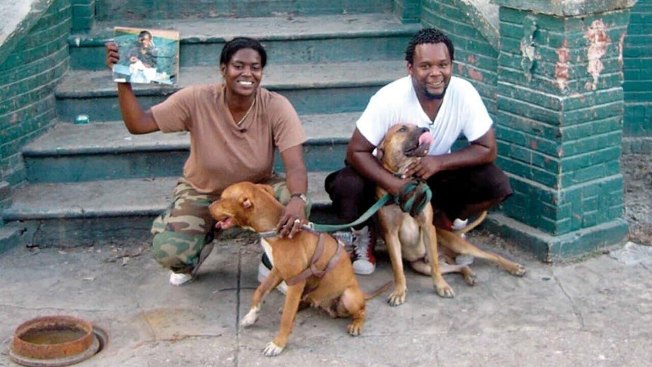 Backdrop – Trouble the Water