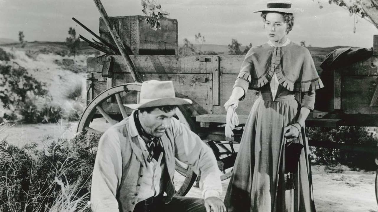 Backdrop – Copper Sky