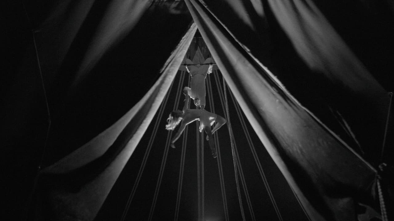 Backdrop – Furioso