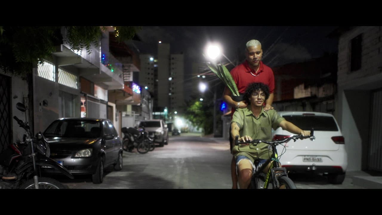 Backdrop – Rebordosa