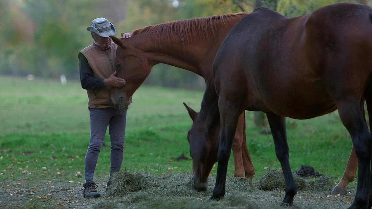 Backdrop – Un cavalier, un rêve, Boucane