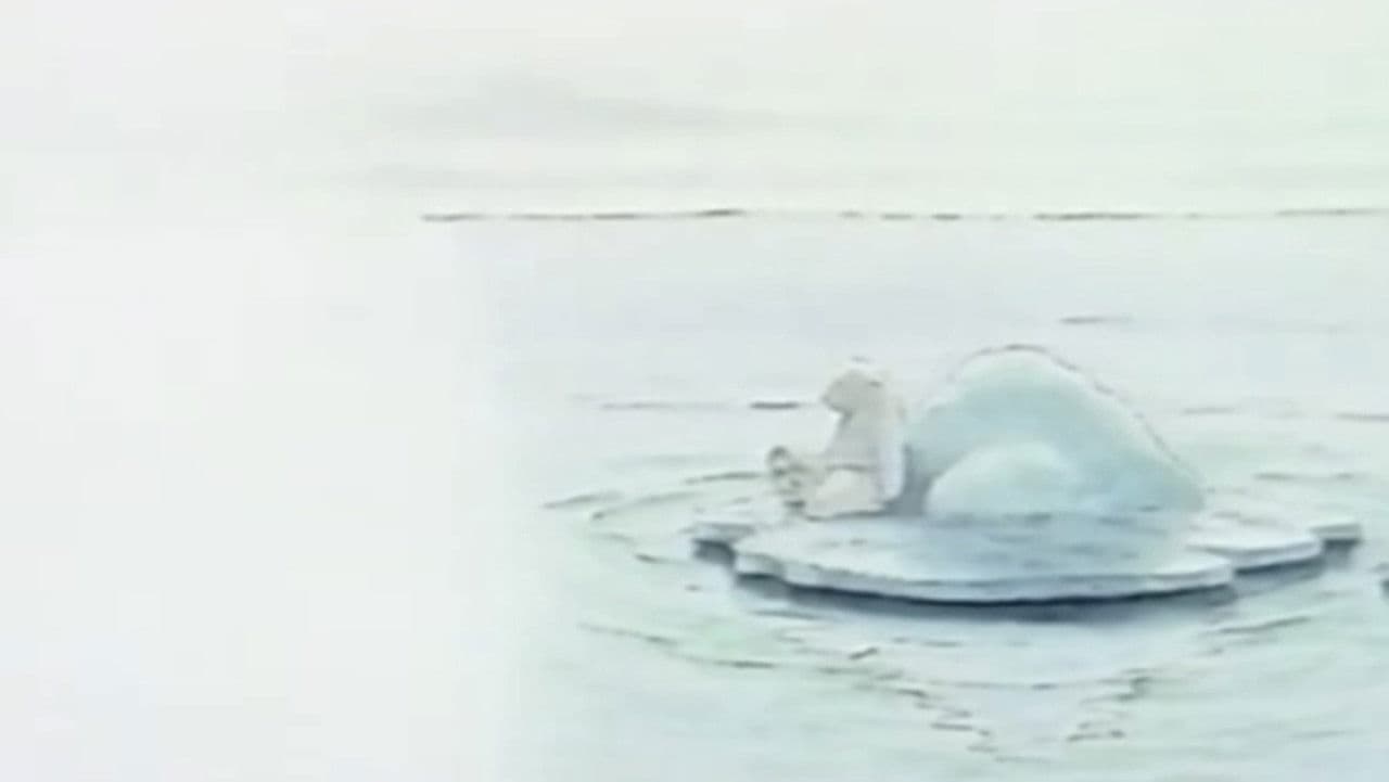 Backdrop – しろくまくん、どこへ？