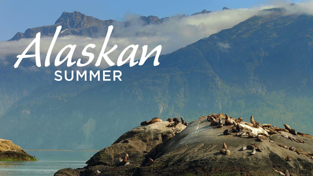 Backdrop – Alaskan Summer