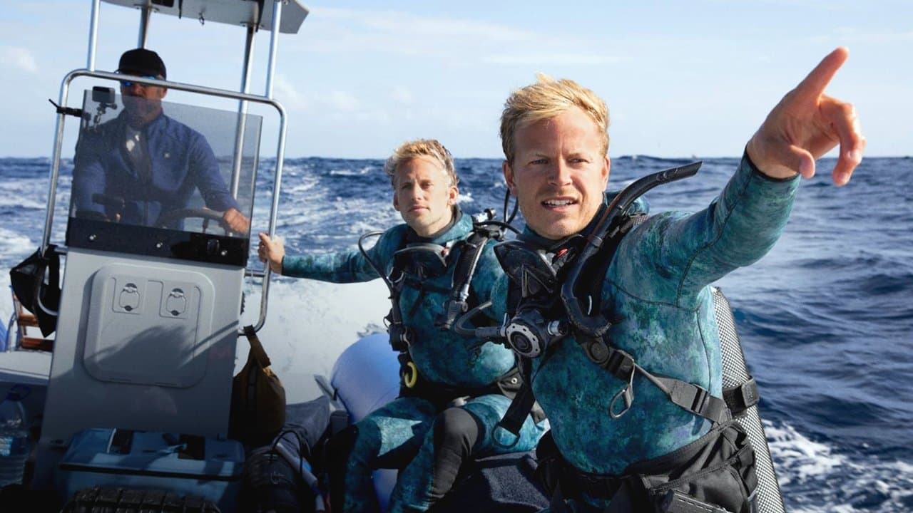 Backdrop – Delfine hautnah mit Bertie Gregory