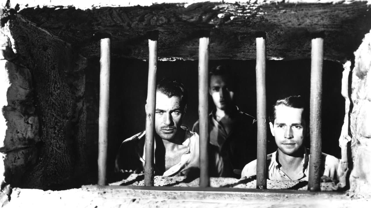 Backdrop – Bengali