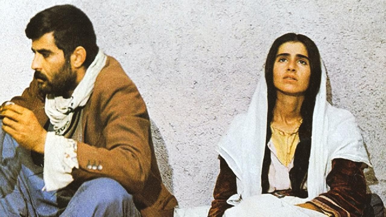 Backdrop – Sürü – Die Herde