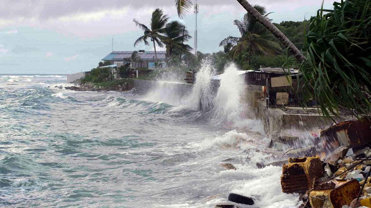 Backdrop – Land unter! Wie schützen wir unsere Küsten?