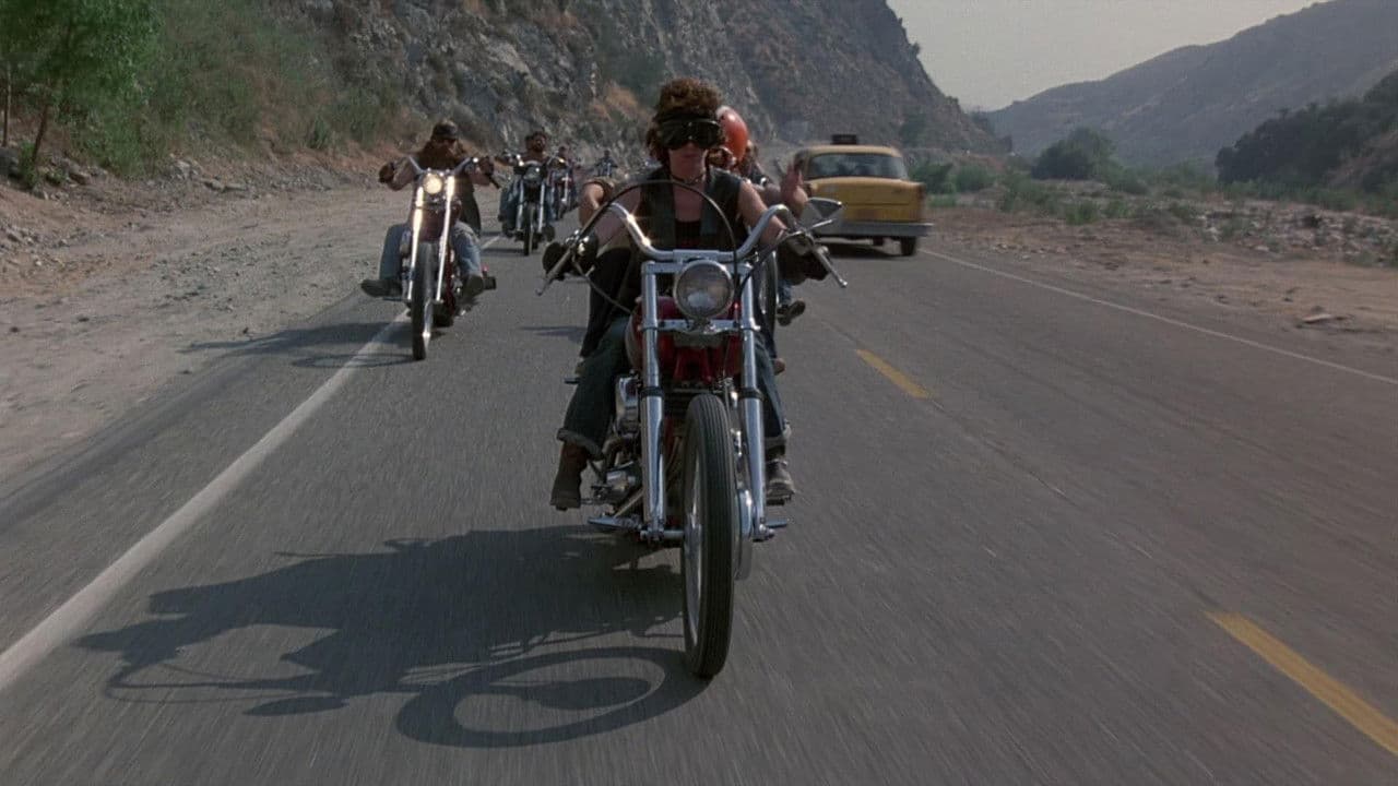 Backdrop – Schweinebande!